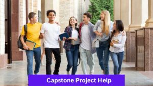 Capstone Project Help